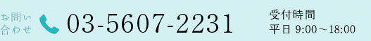 電話番号：03-5607-2231